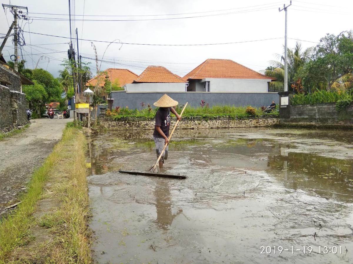 Bhuana Alit 2 Ubud Bagian luar foto