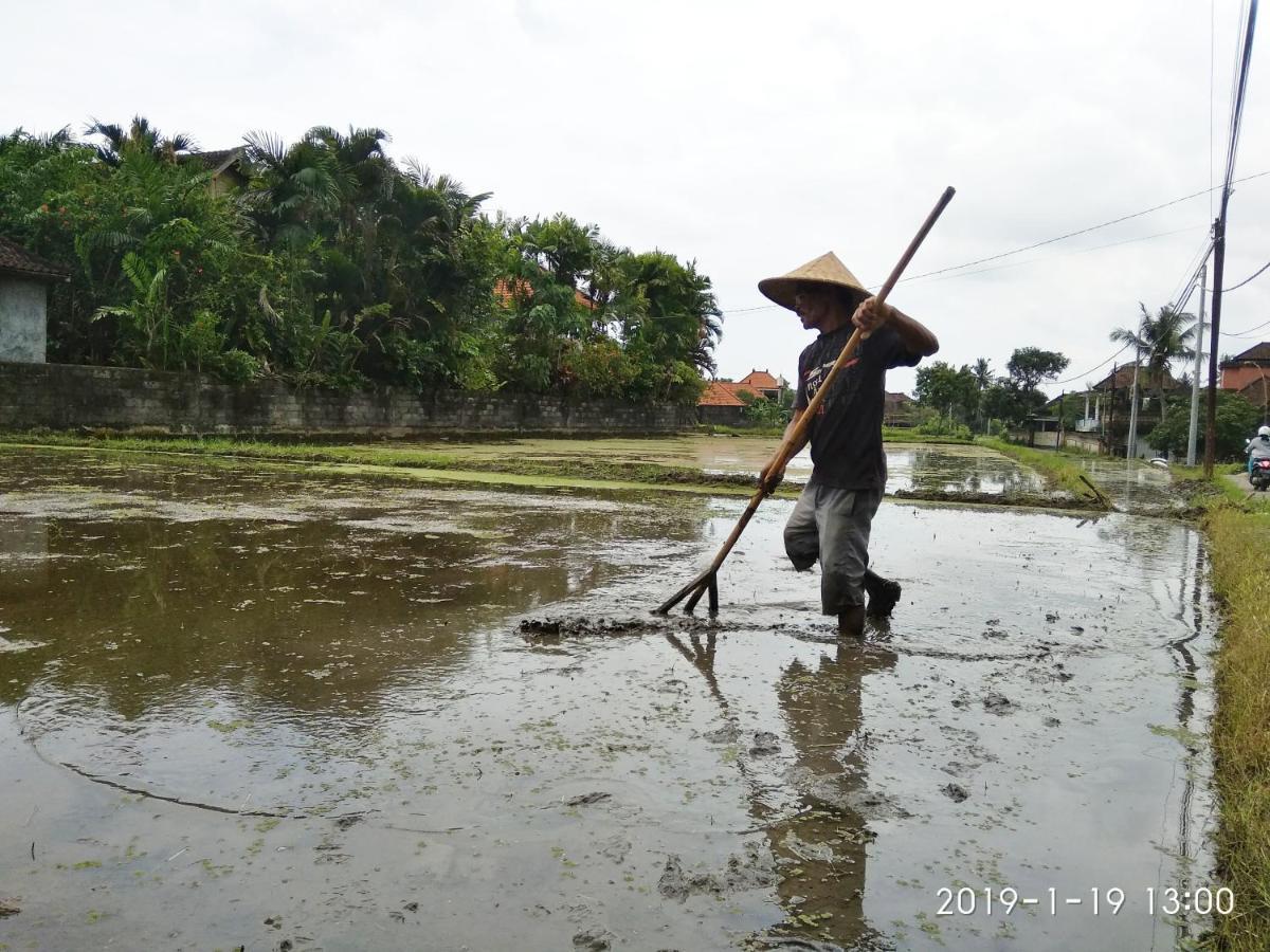 Bhuana Alit 2 Ubud Bagian luar foto