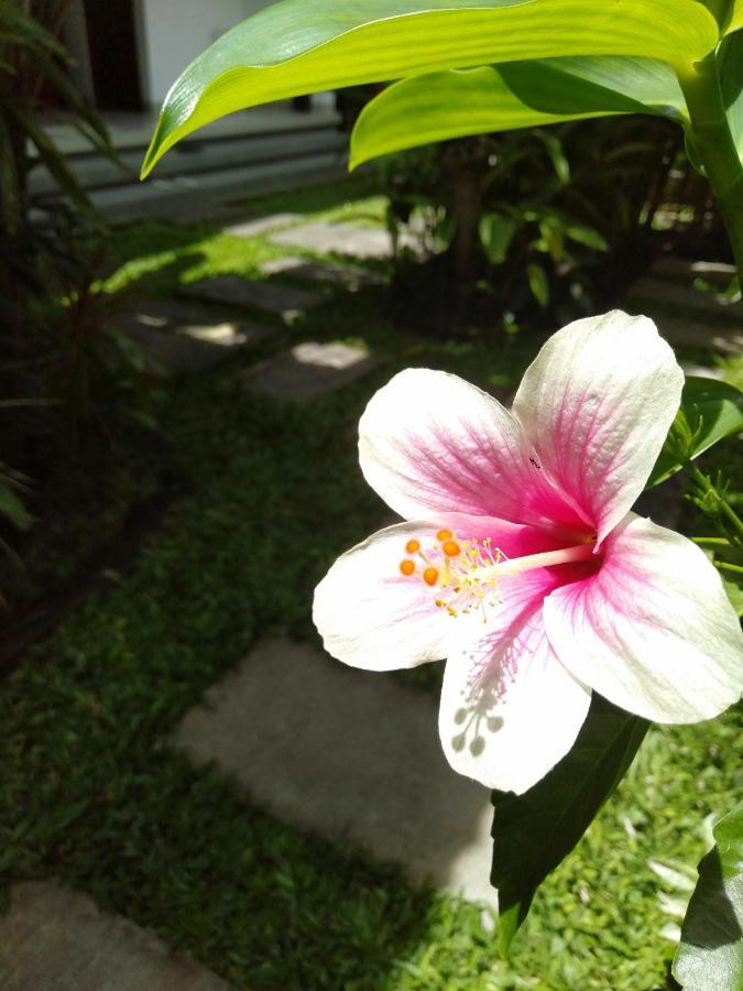 Bhuana Alit 2 Ubud Bagian luar foto